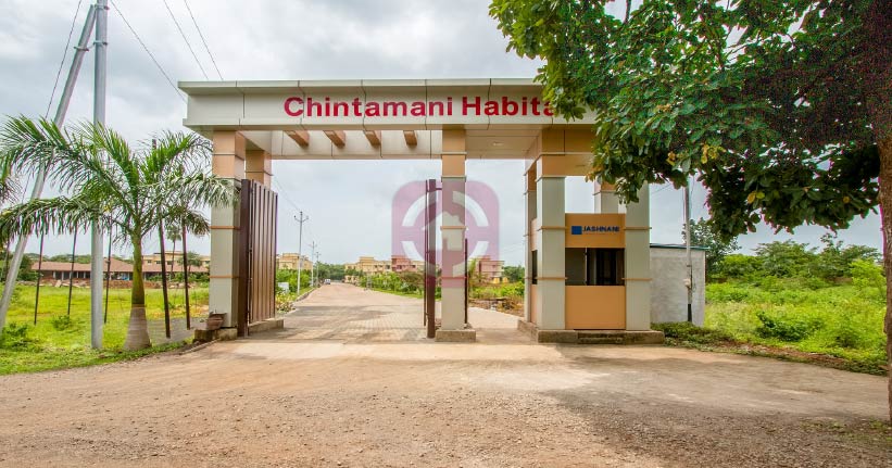 Chintamani Habitat Cover Image